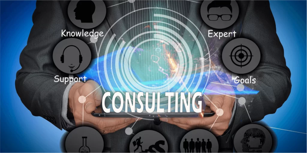 Consulting Brilliance: Insights from a Business Strategist